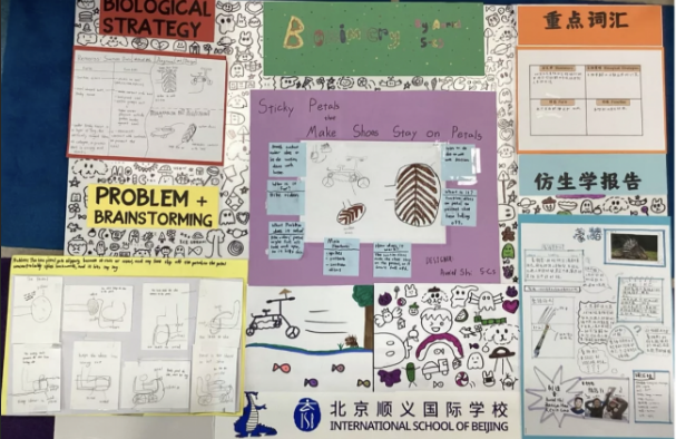 A student sample of a Bilingual culminating task: G5 Science Unit on Biominicry